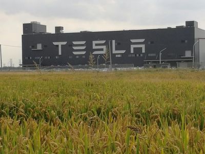 狼真來了！特斯拉上海工廠投產(chǎn)，國產(chǎn)Model 3下線，十個月創(chuàng)奇跡，三季度盈利——對中國新能源市場的深遠(yuǎn)影響