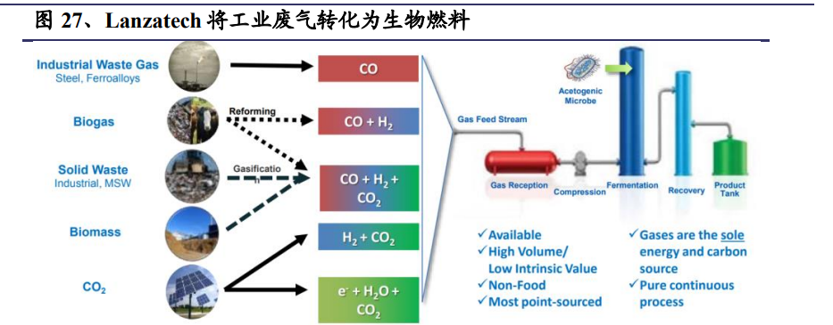 合成生物學深度報告 推陳出新，欣欣向榮——氣體生物技術的突破與應用